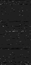 MTVZA-21.png